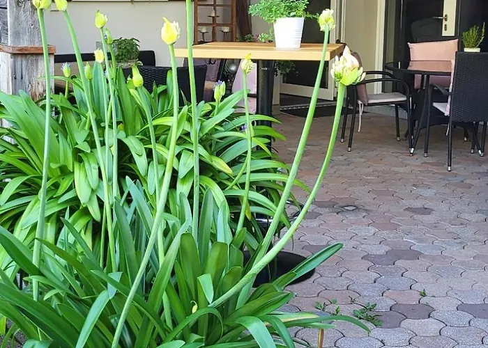 Apartmán An Der Kaburga *